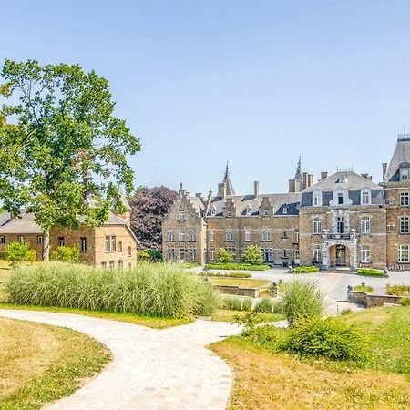 Domaine De Ronchinne - Chateau Et Ecuries Maillen 外观 照片